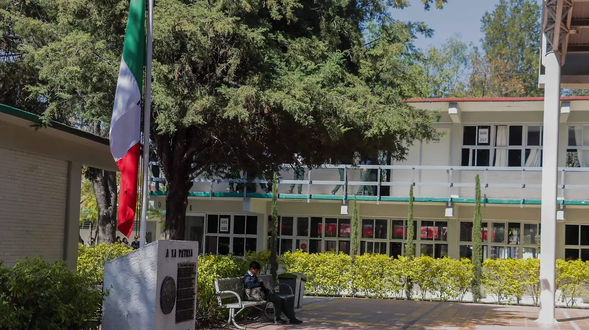 sjr El trabajo con el estado