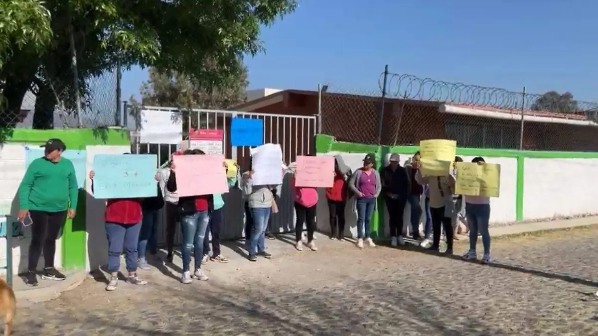 WhatsApp Image 2026-02-17 at 10.34.51 AM