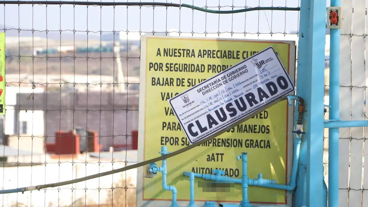 WhatsApp Image 2026-02-17 at 4.08.13 PM