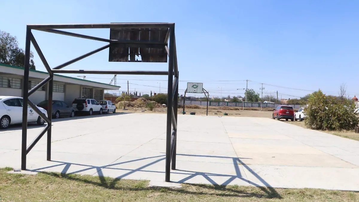 WhatsApp Image 2026-02-17 at 4.26.11 PM (1)