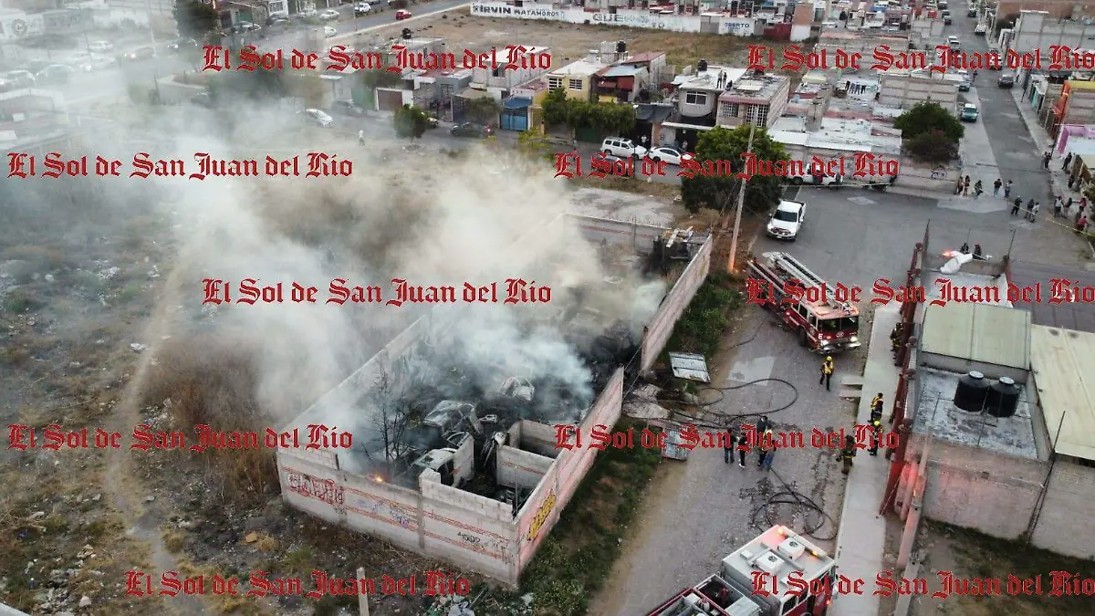 WhatsApp Image 2026-02-17 at 7.09.52 PM