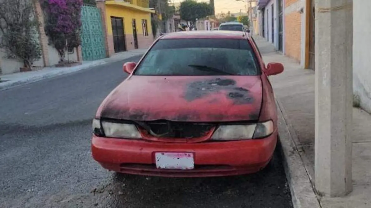 WhatsApp Image 2026-02-18 at 8.03.10 AM