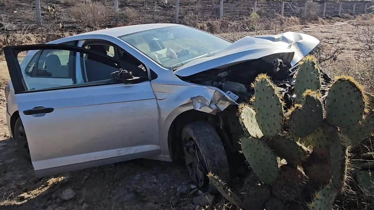 WhatsApp Image 2026-02-18 at 9.36.57 AM