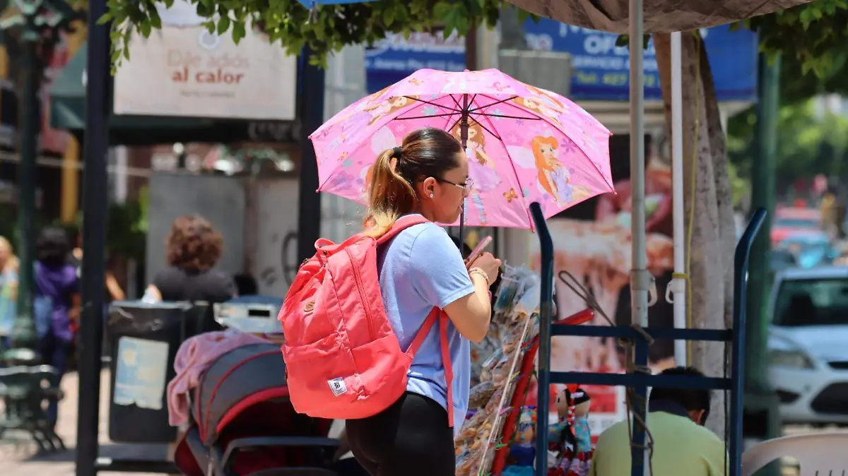 sjr Buscan evitar los golpes