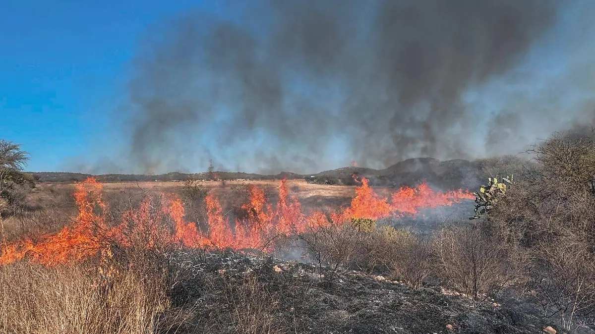 635125058_943890621630981_1426676123862891381_n