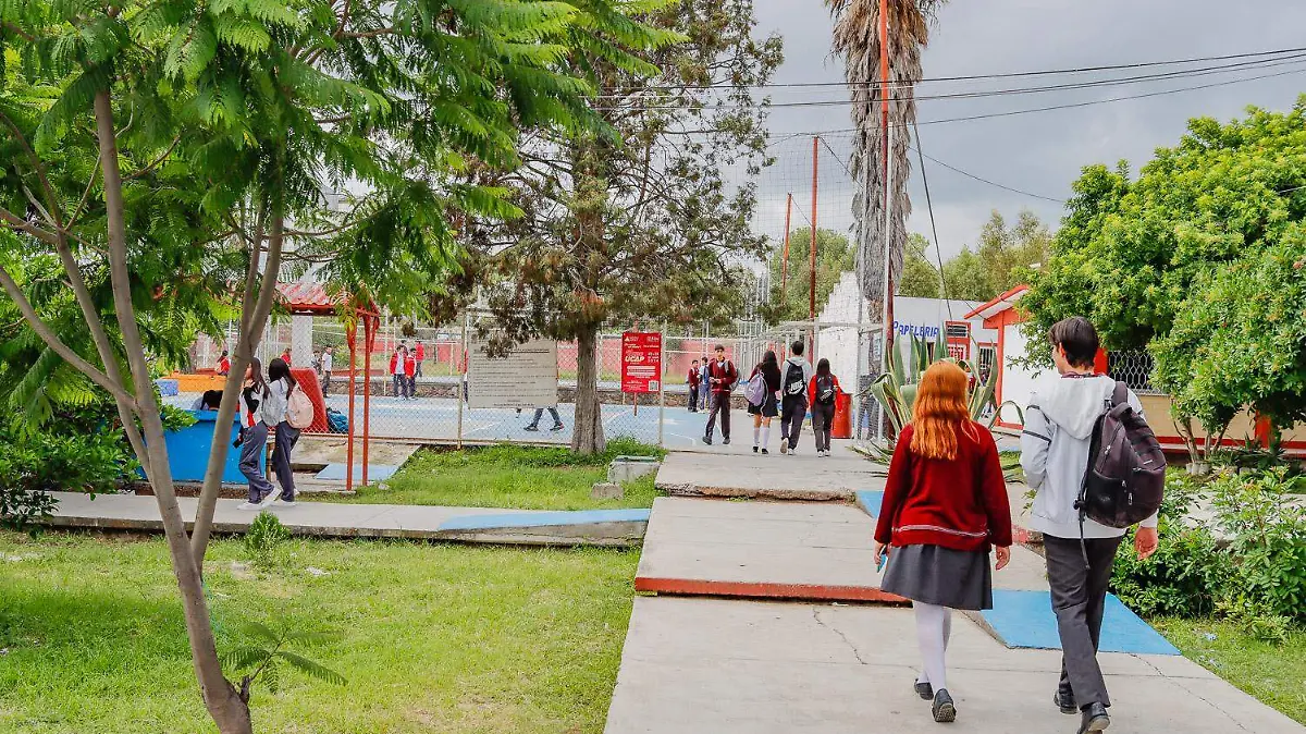 210824_cobaq_pantel 10_san pedro ahuacatlan_CO_21