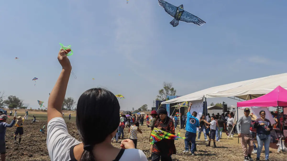 SJR La gastronomía y los colores