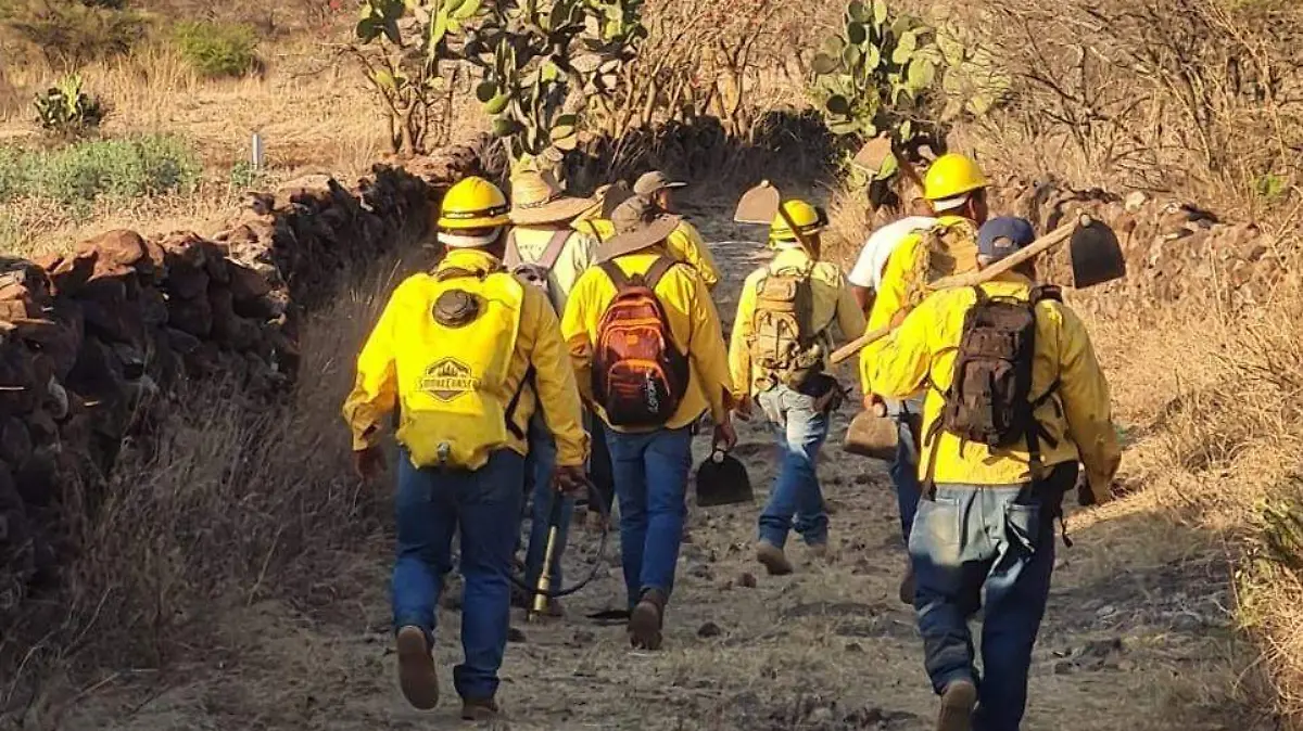 SJR_Brigadistas realizaron