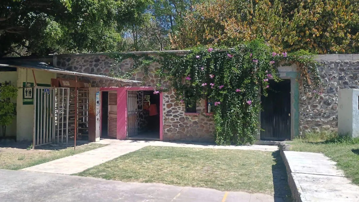 WhatsApp Image 2026-02-20 at 1.31.39 PM