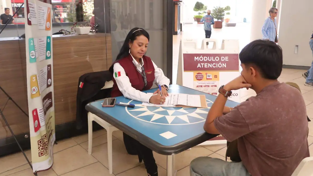 131125_profeco_galerias_ldvu (6)