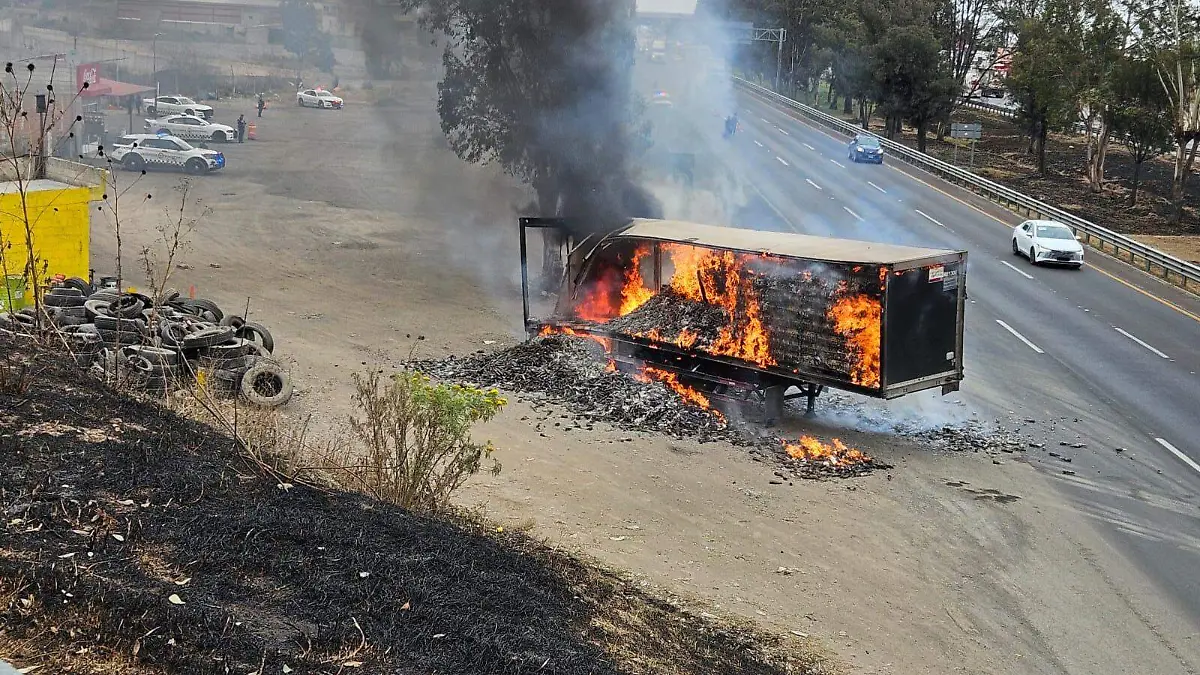 WhatsApp Image 2026-02-22 at 12.41.57 PM