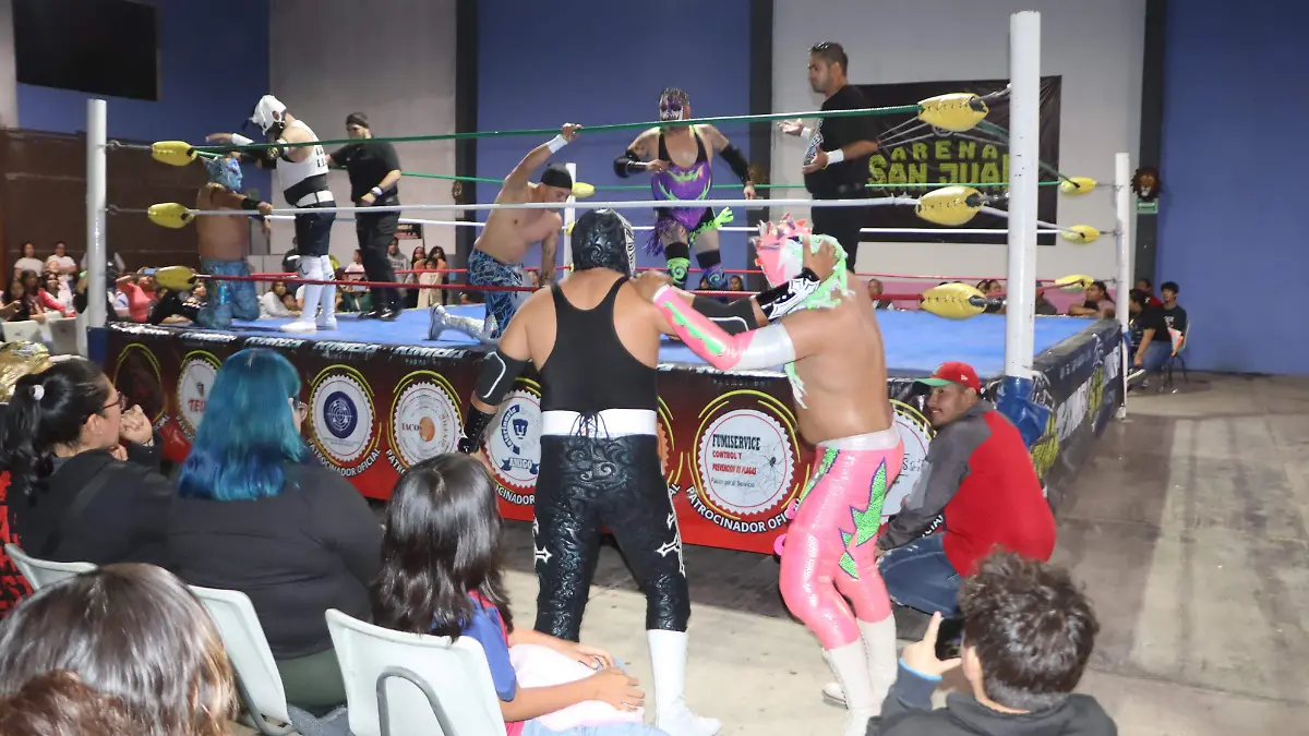 100126_luchas_reyes_estelar_ldvu (7)