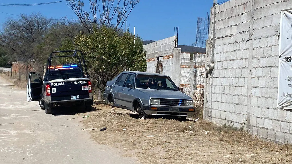 WhatsApp Image 2026-02-23 at 12.21.13 PM