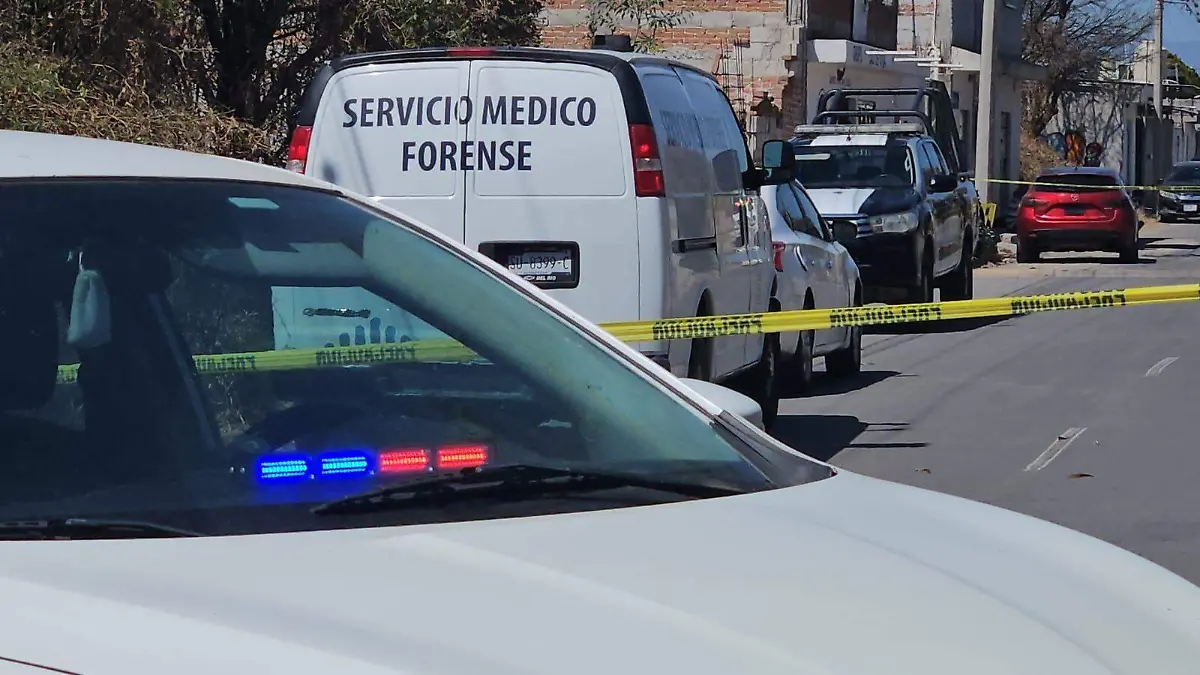 WhatsApp Image 2026-02-24 at 4.20.21 PM