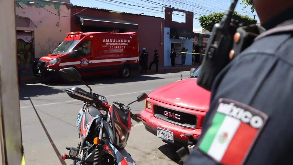 WhatsApp Image 2026-02-24 at 2.27.09 PM