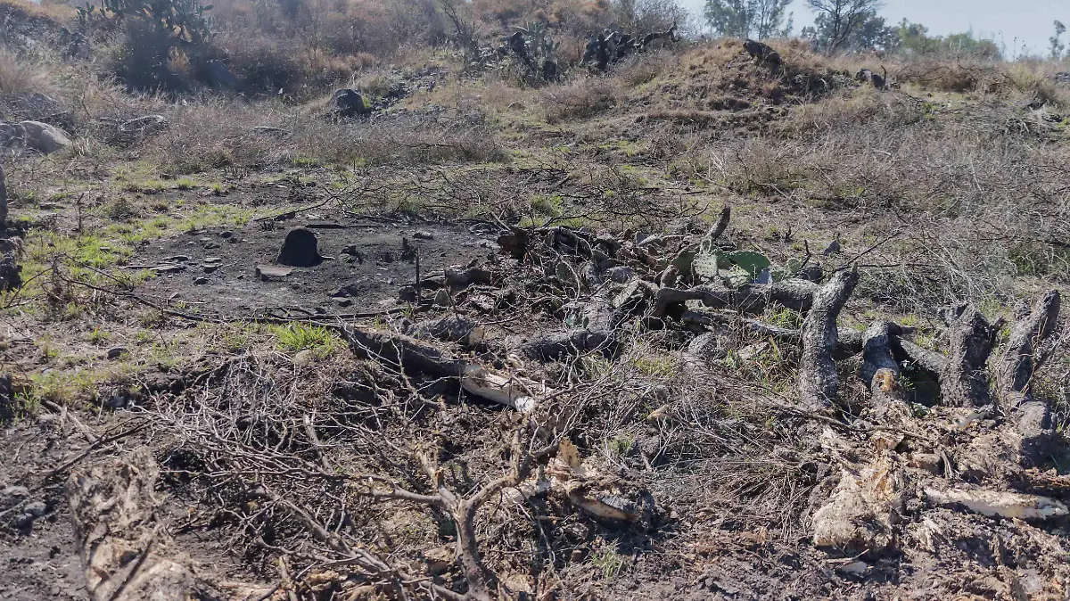 sjr Se usa un amplio