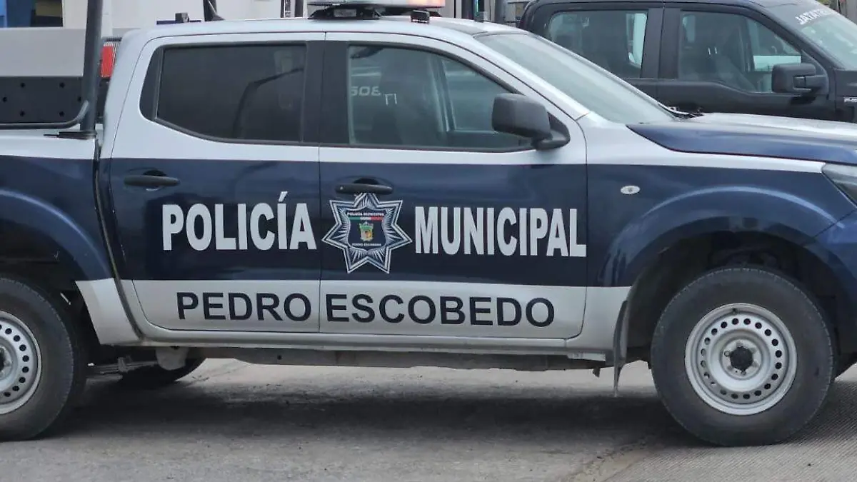 WhatsApp Image 2026-02-28 at 11.06.05 AM