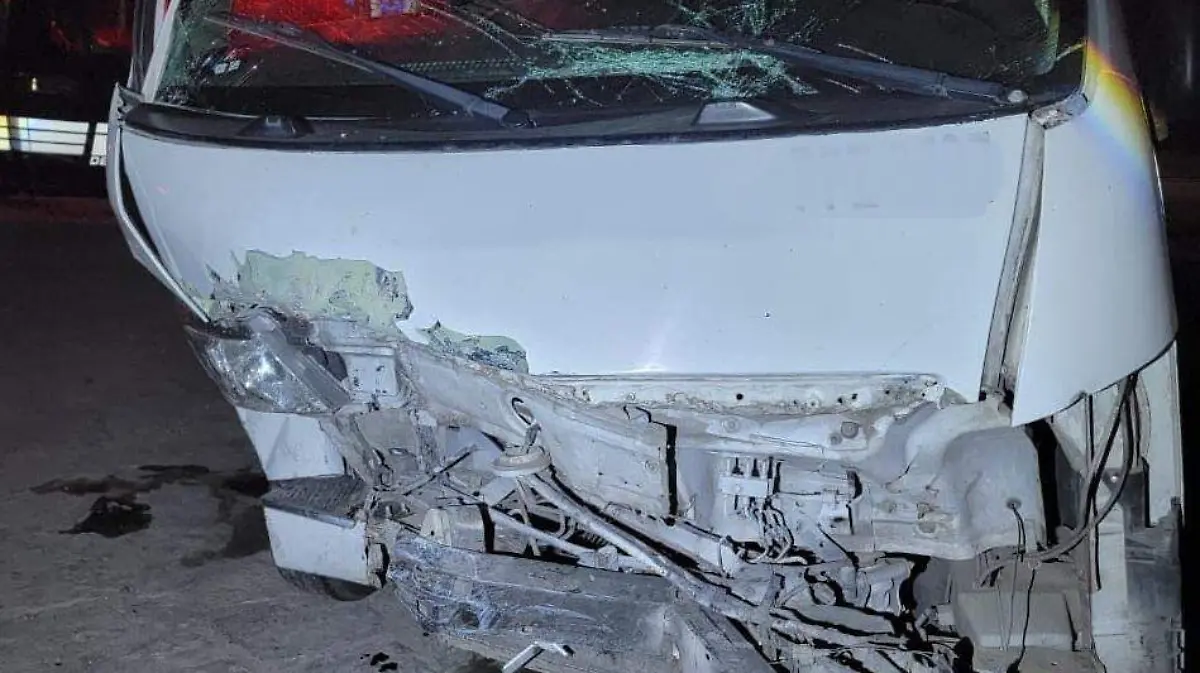 WhatsApp Image 2026-02-28 at 10.44.26 AM