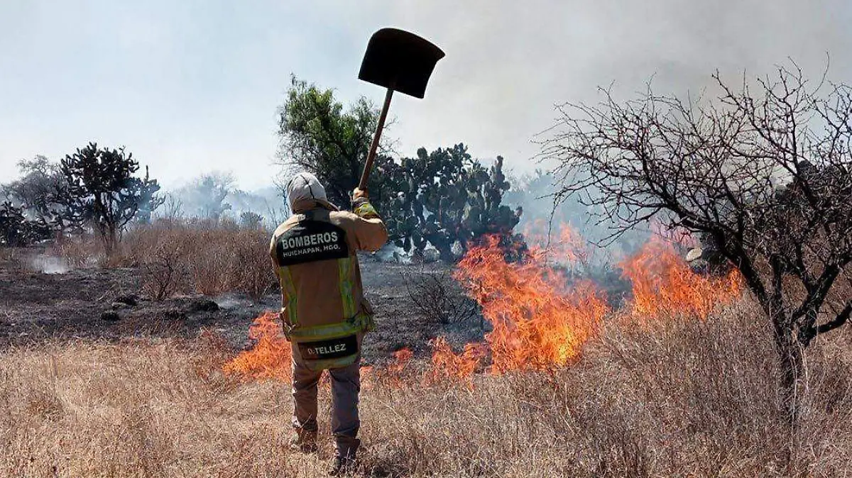 WhatsApp Image 2026-03-01 at 2.34.17 PM (1)