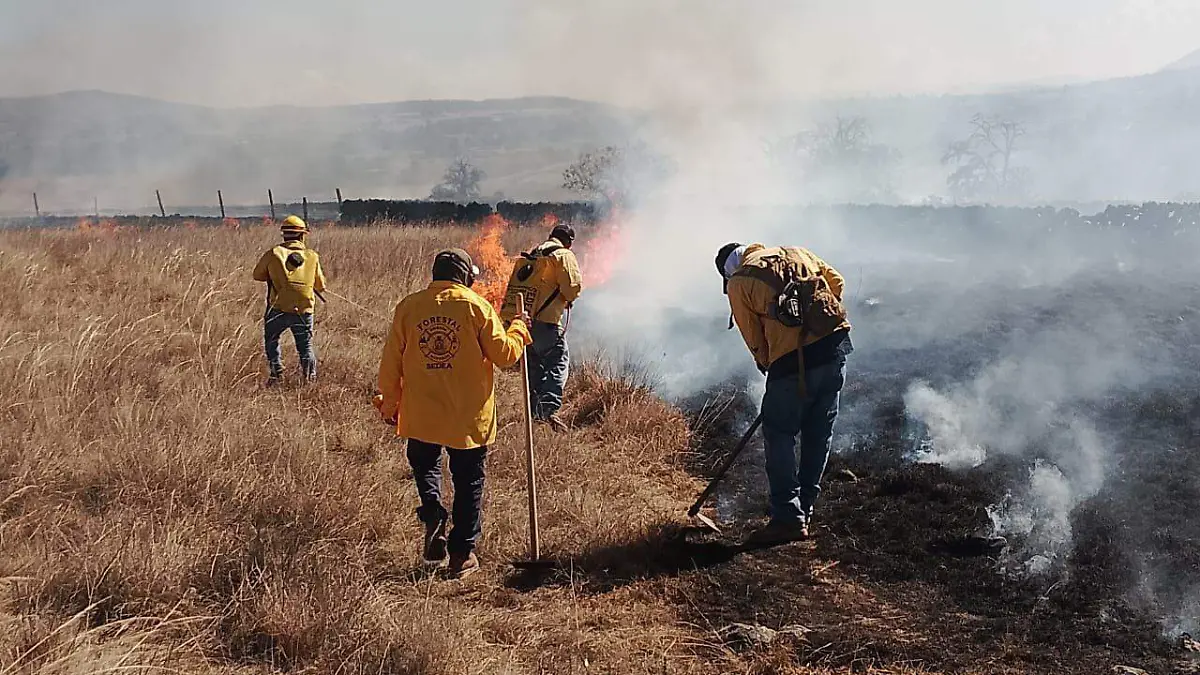 sjr Pretenden evitar la