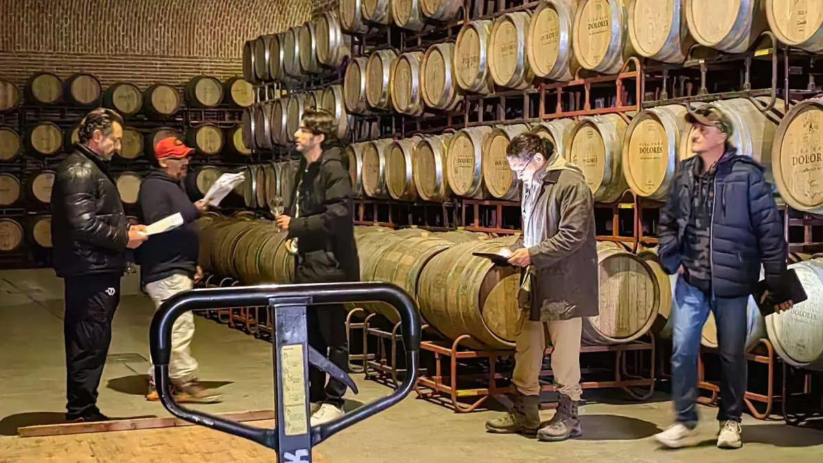 FOTO PRINCIPAL SJR Algunas