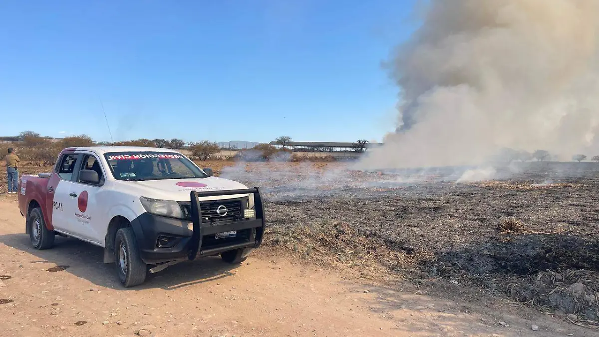 WhatsApp Image 2026-03-03 at 3.19.40 PM