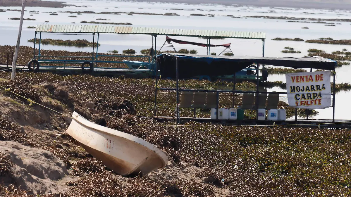 SJR ES UNA SITUACION