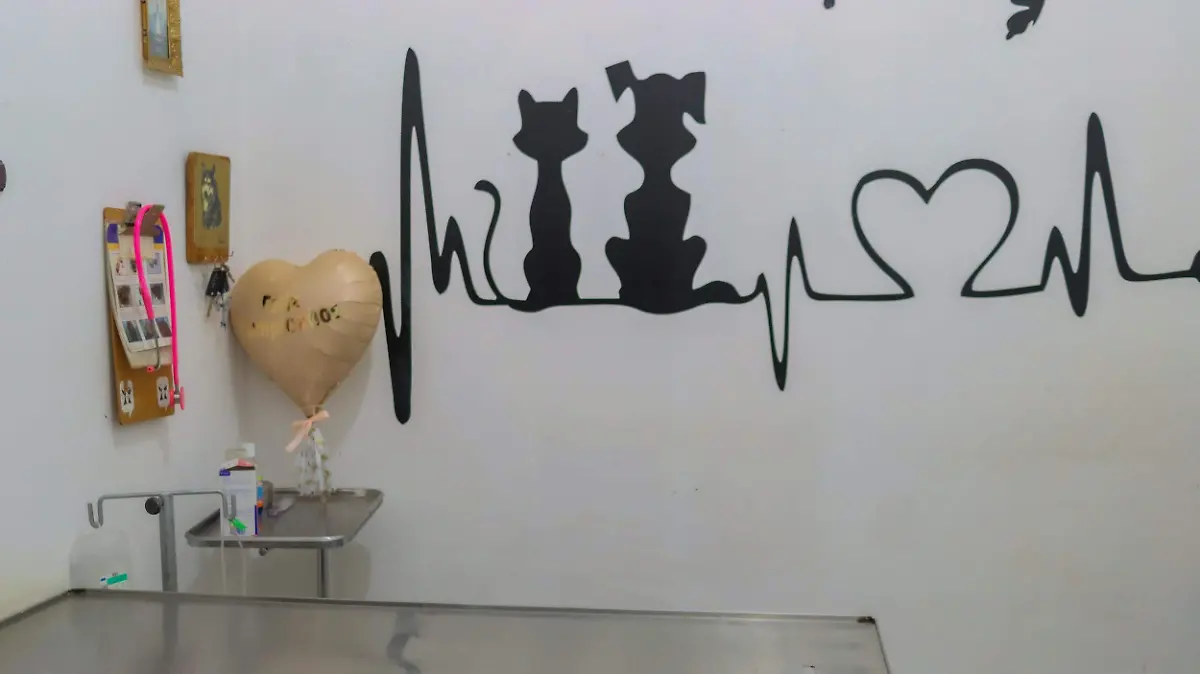 170225_veterinaria_CO_15