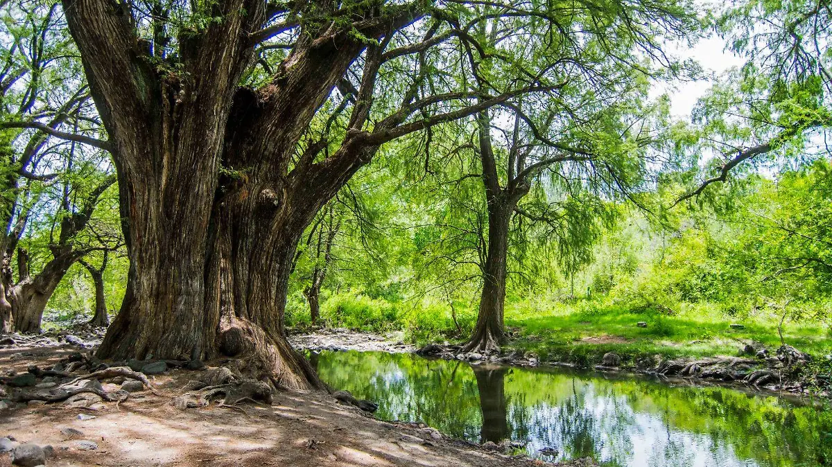 WhatsApp Image 2026-03-10 at 7.09.54 PM