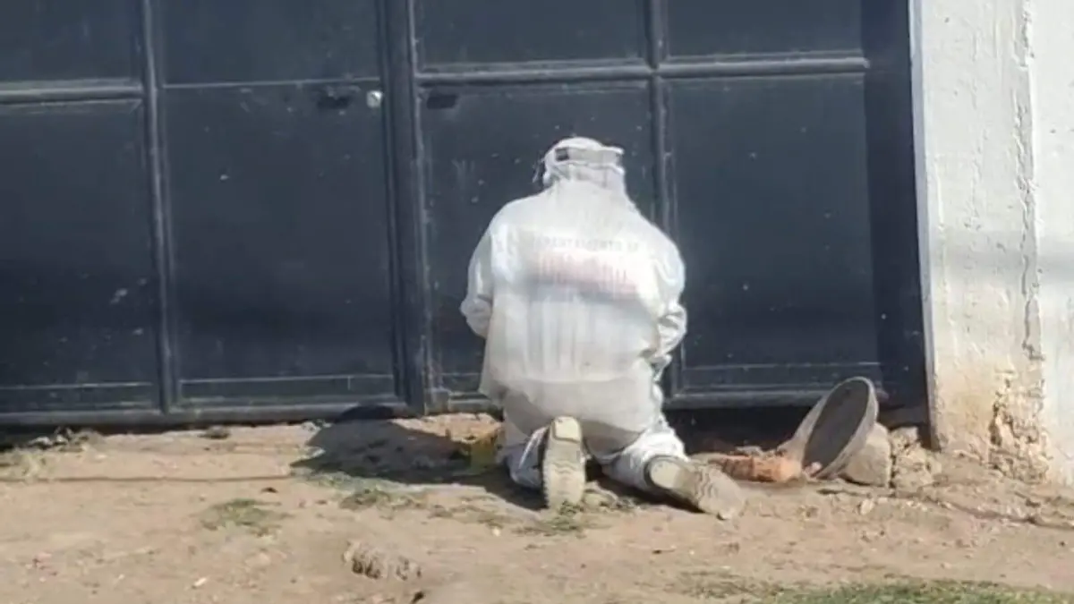 WhatsApp Image 2026-03-11 at 11.51.41 AM