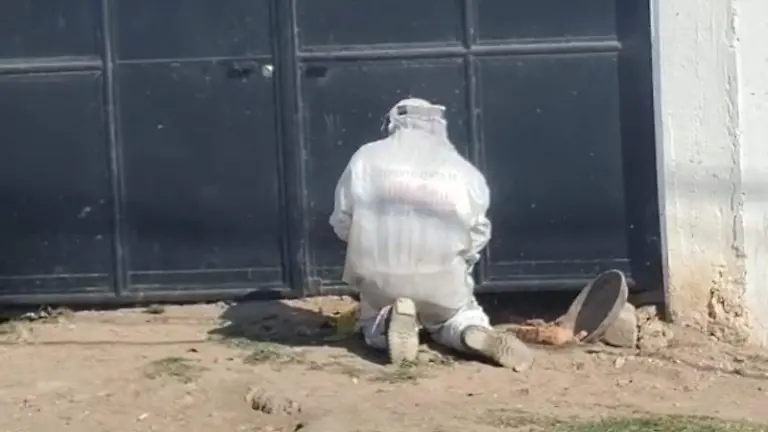 WhatsApp Image 2026-03-11 at 11.51.41 AM