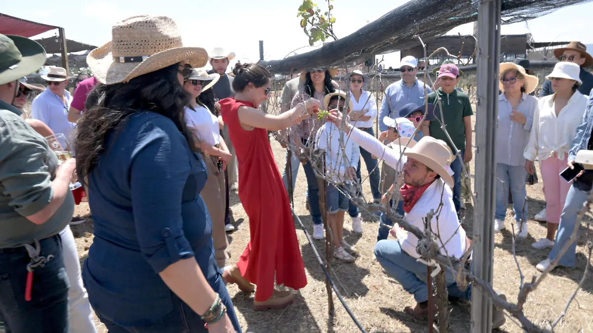 FOTO PRINCIPAL SJR Algunos