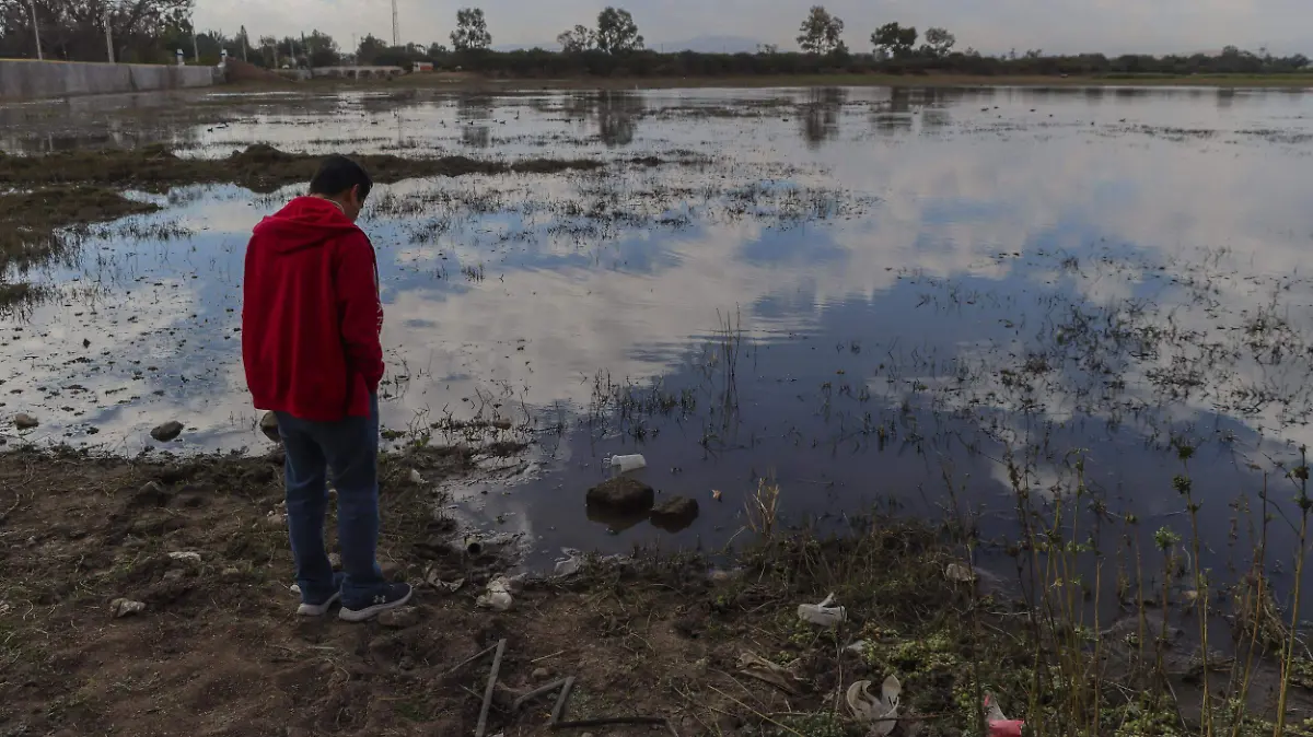 SJR_Tienen identificados