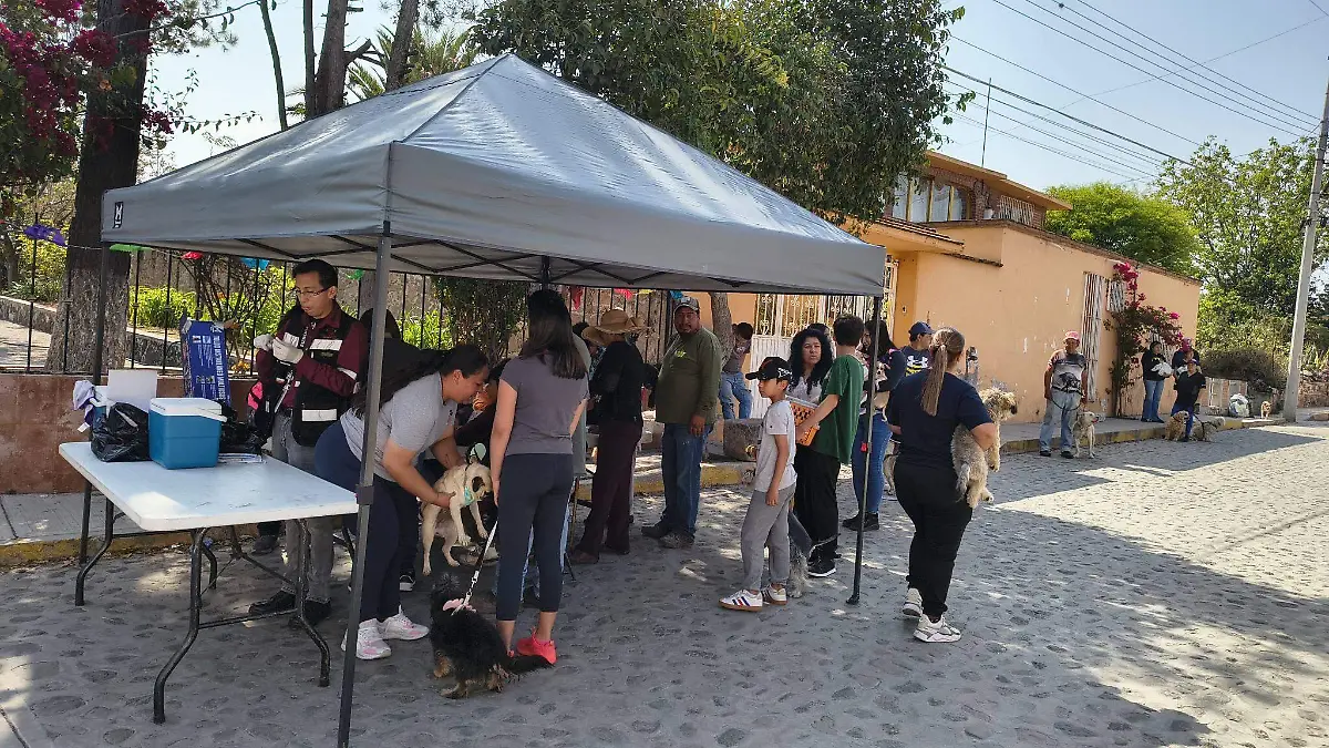 648558309_122165208062829745_5677046015245637457_n