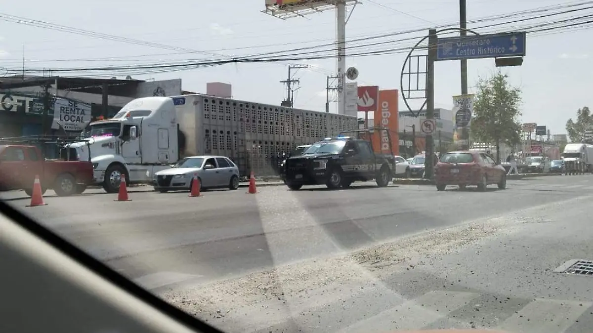 WhatsApp Image 2026-03-12 at 11.51.40 AM