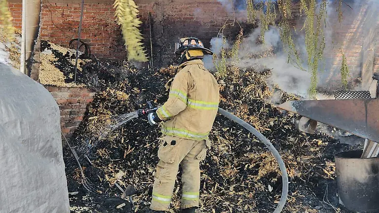 WhatsApp Image 2026-03-12 at 2.20.01 PM