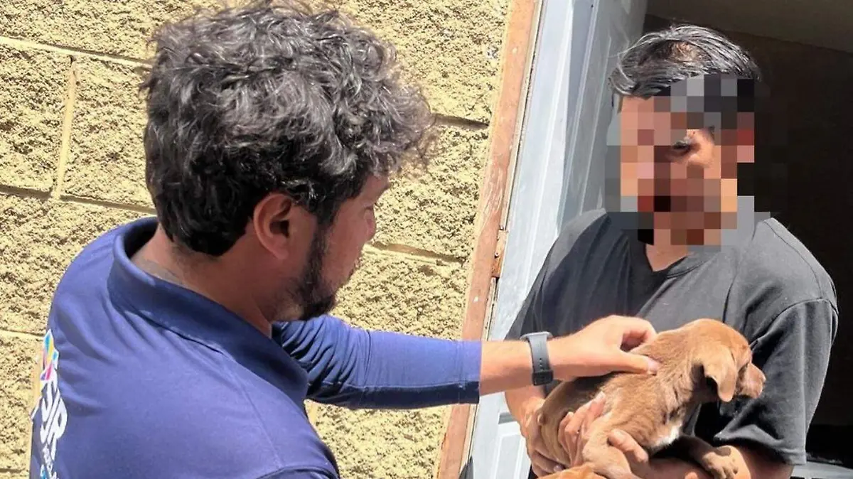 SJR La detección fue