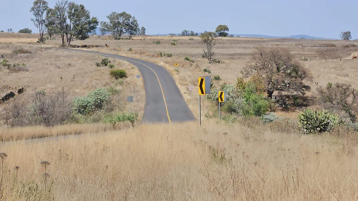 SJR POLI LA BUSQUEDA
