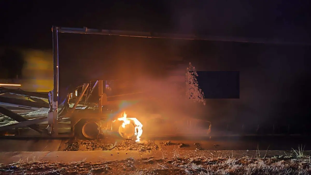 WhatsApp Image 2026-03-13 at 12.24.53 AM