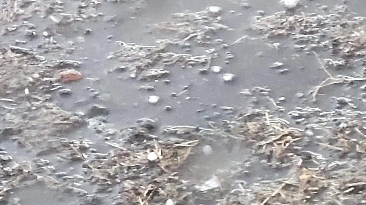 Las bolitas de granizo se dejaron ver en 