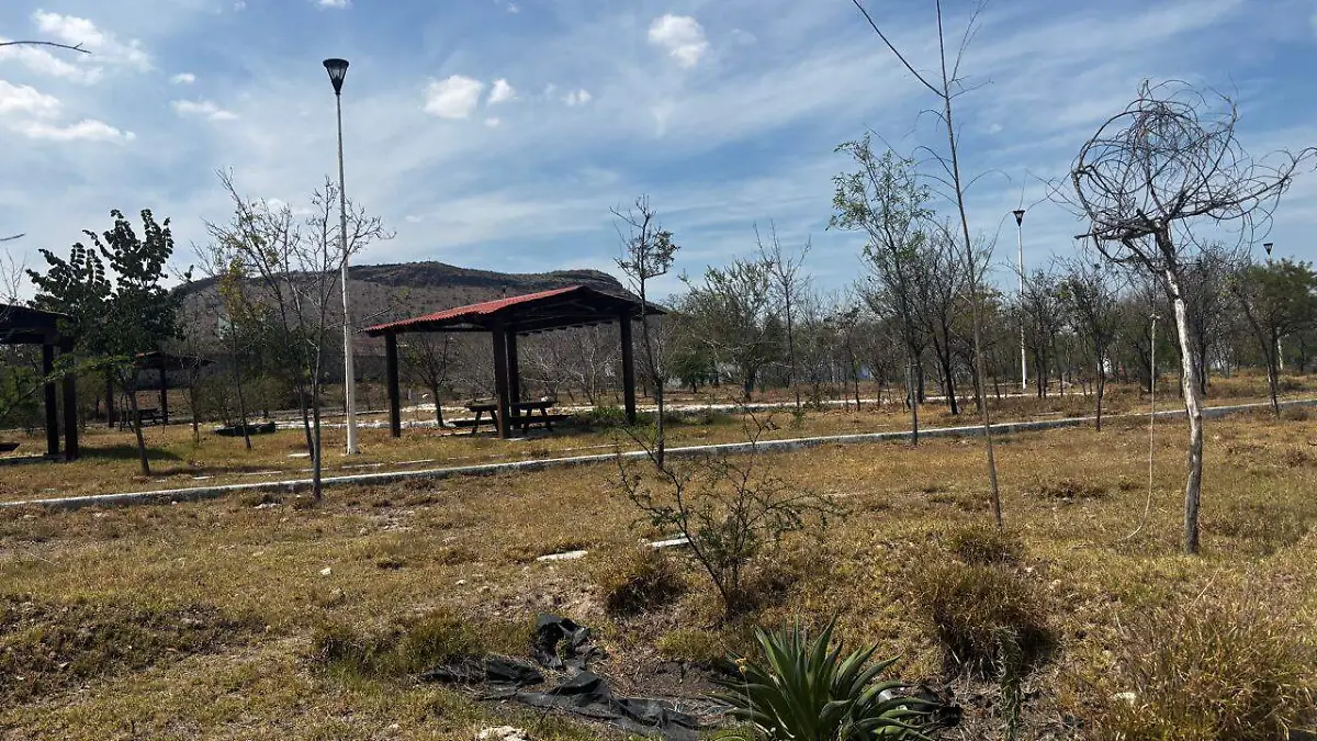 sjr Involucra millones de