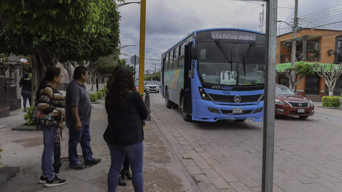 190625_qrobus_pedro escobedo_CO_9