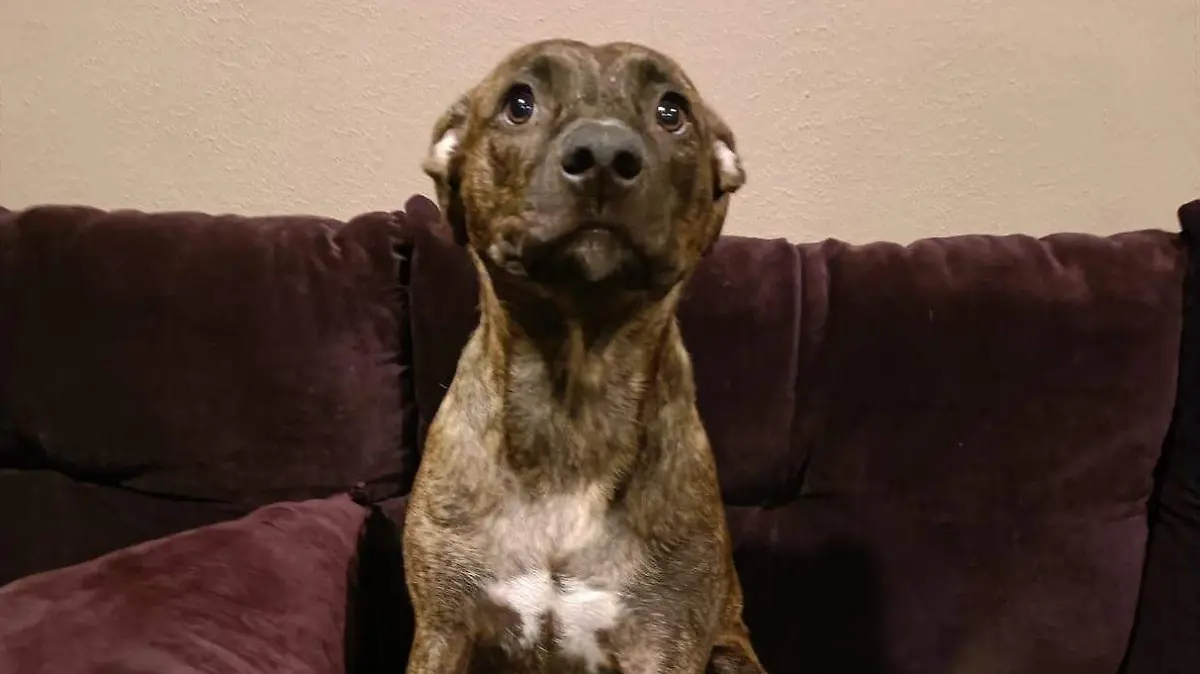 WhatsApp Image 2026-03-21 at 1.17.02 PM