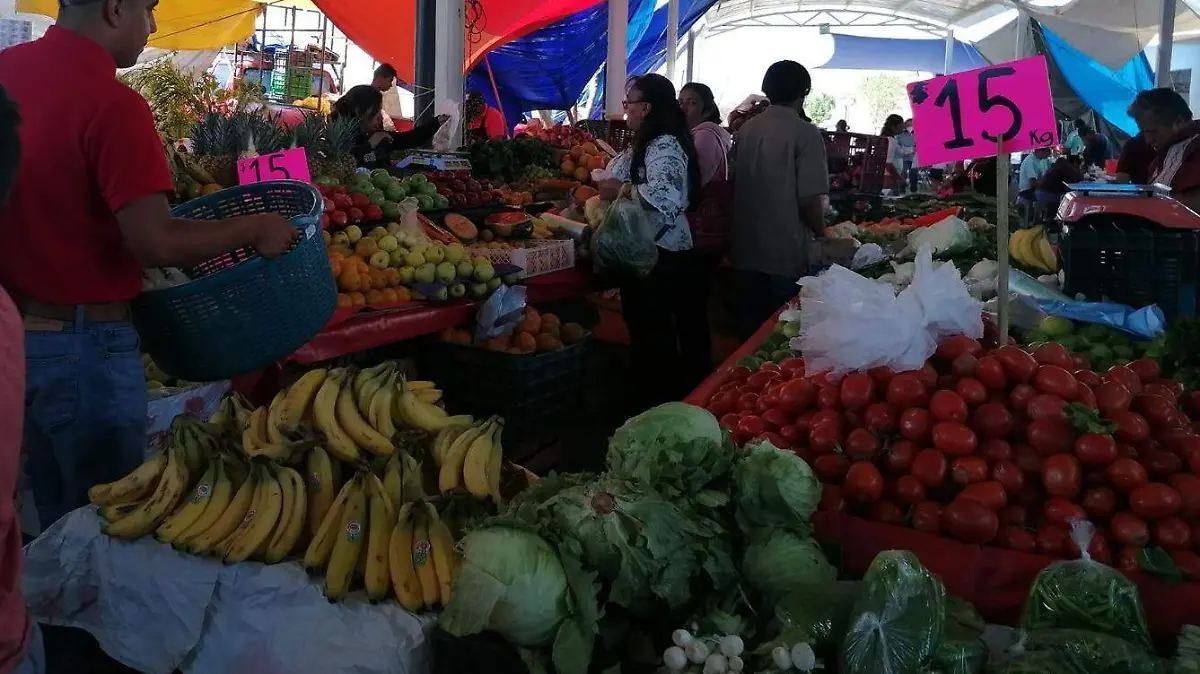 WhatsApp Image 2026-03-22 at 2.53.40 PM