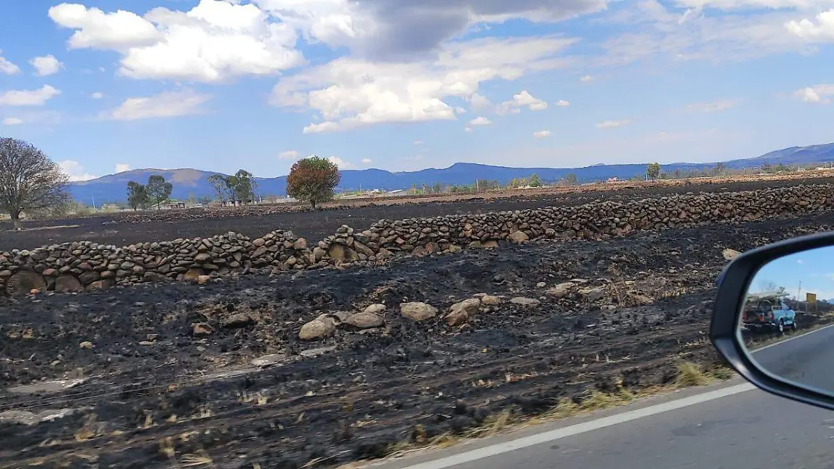 sjr Se trata de algunos