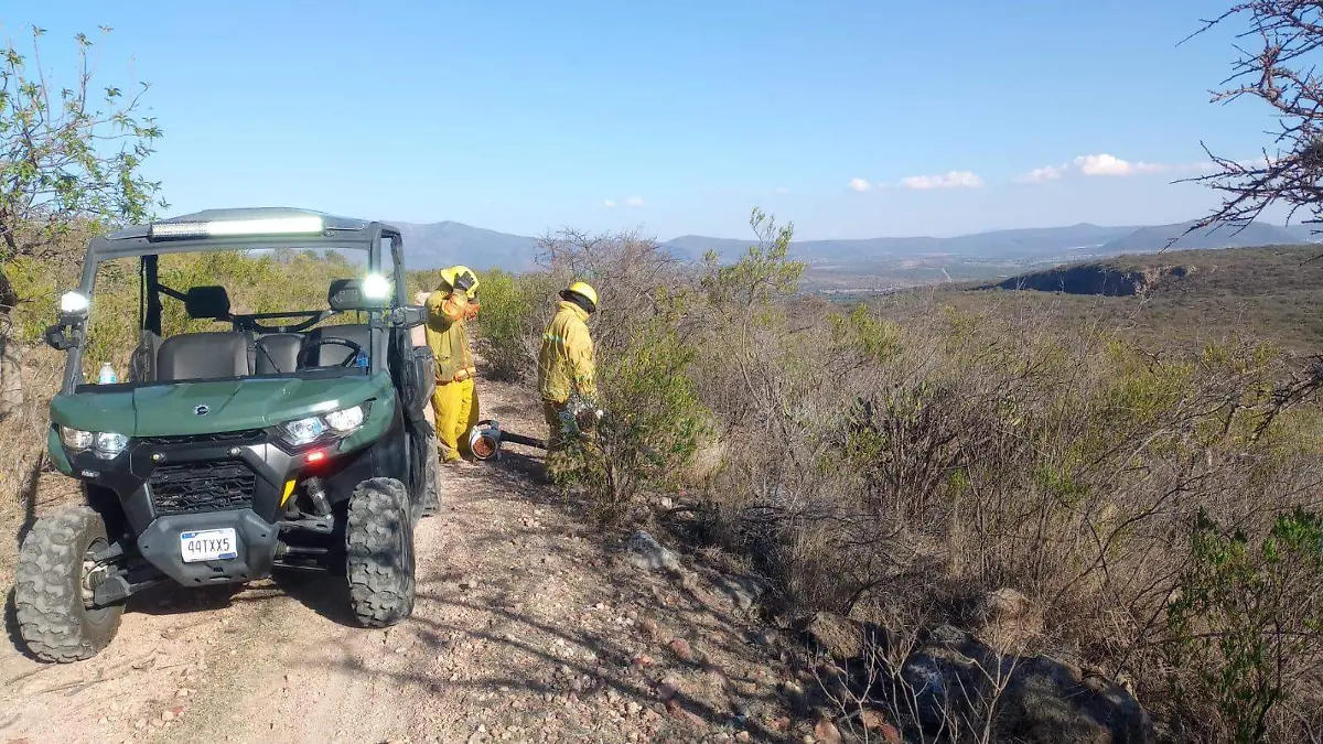 WhatsApp Image 2026-03-25 at 7.43.03 PM