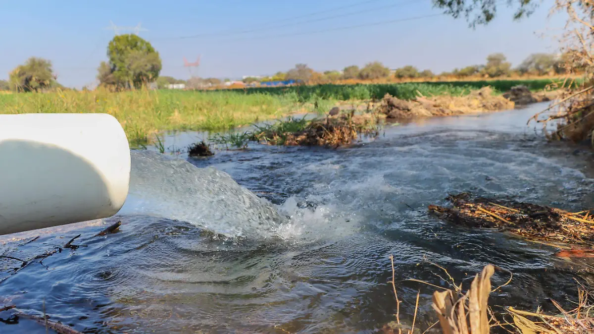 040125_riego de campo_avena_CO_22