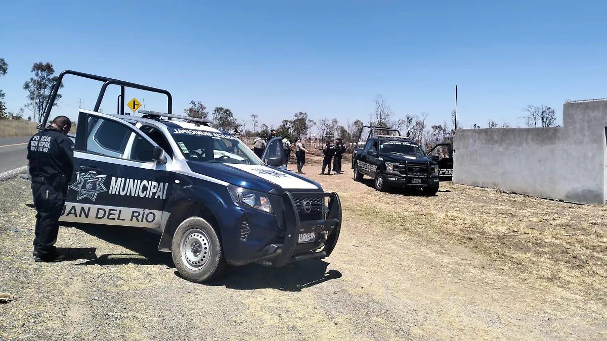 WhatsApp Image 2026-03-26 at 11.11.07 AM