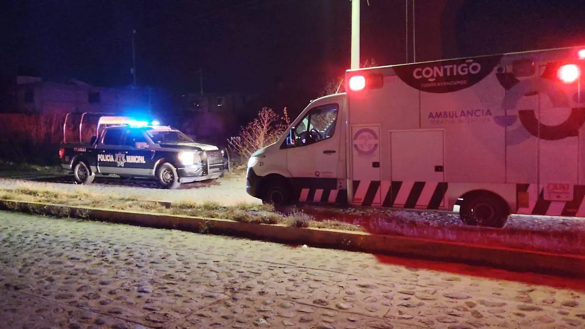 WhatsApp Image 2026-03-26 at 11.01.43 PM