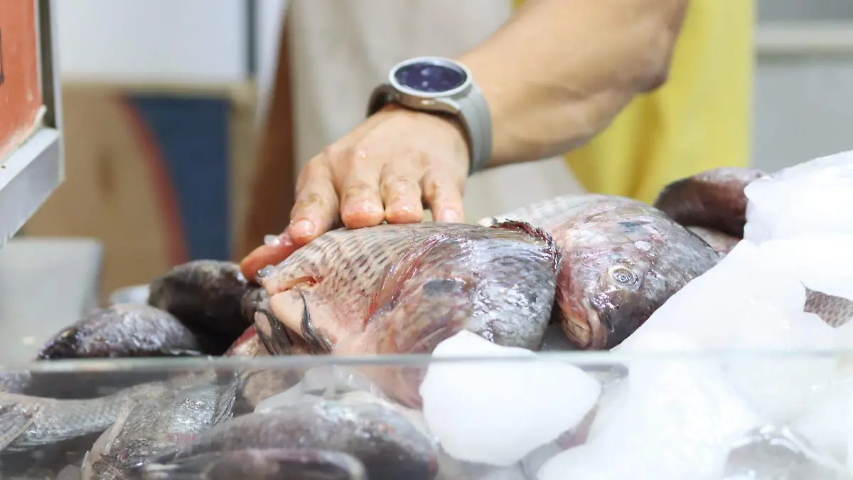 110425_pescados_y_mariscos_ldvu 4